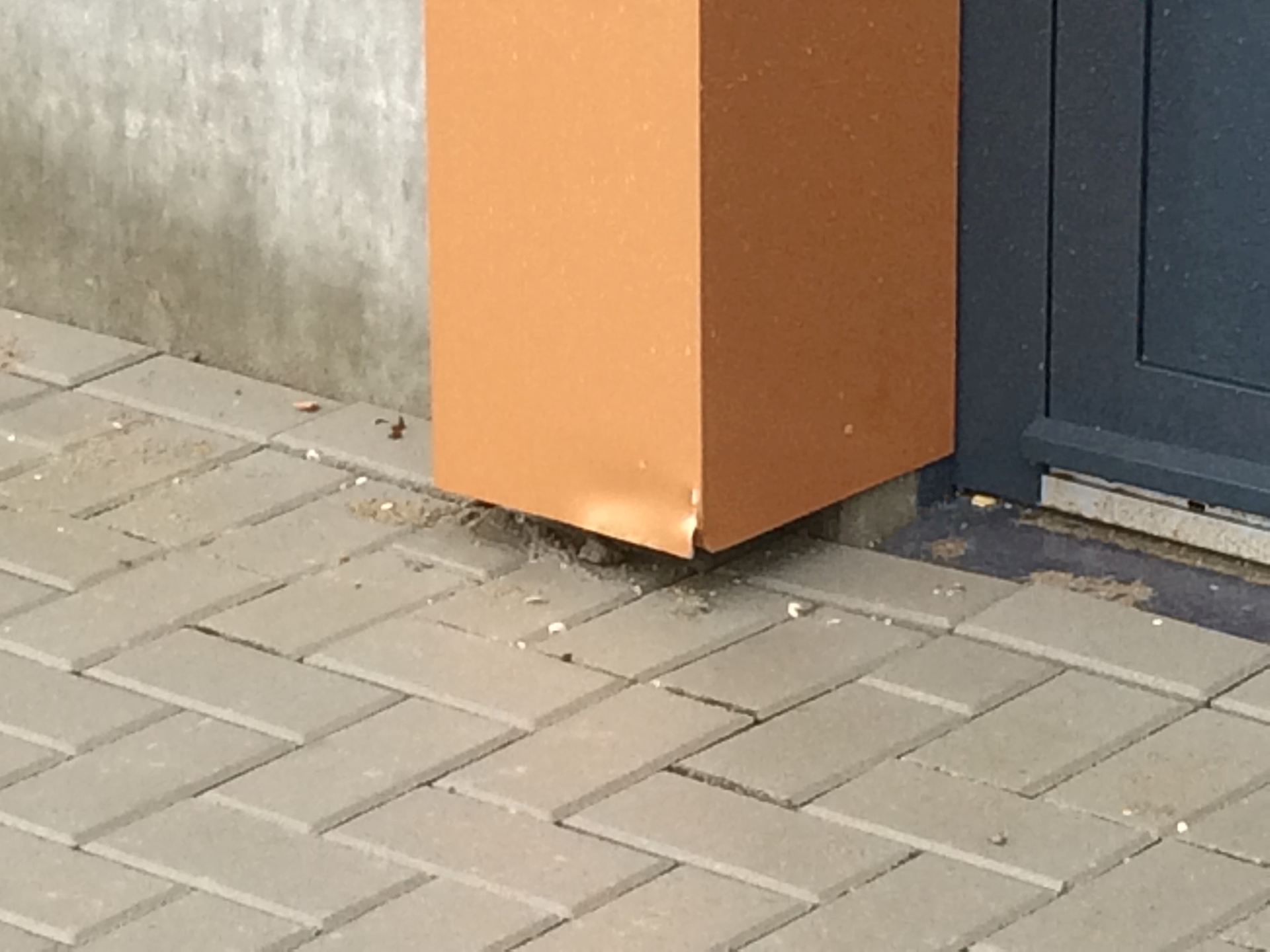 24Schade hoekstuk kleur goud.jpg